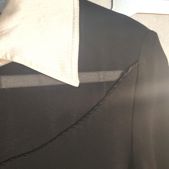 VINTAGE PATRICIA FORGEAL Mesh Sweater Dress with Satin Collar & Cuff - Picture 4 of 16